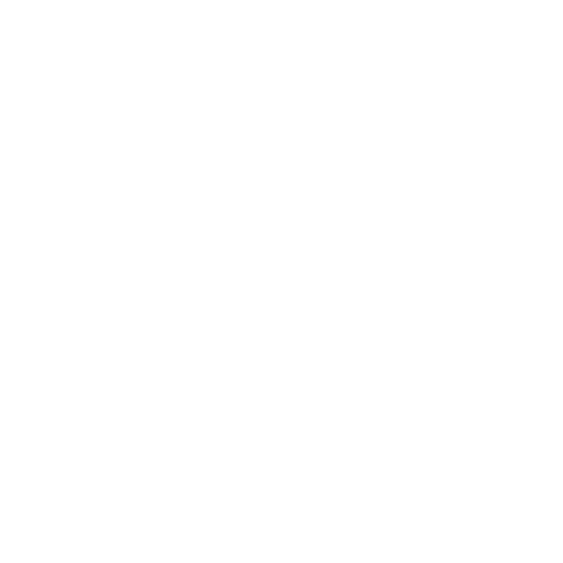 WordPress Development